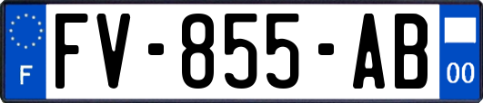 FV-855-AB