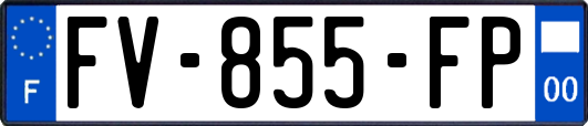 FV-855-FP