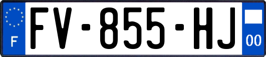 FV-855-HJ