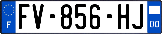 FV-856-HJ
