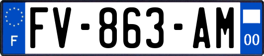 FV-863-AM