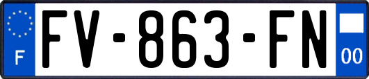 FV-863-FN