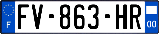 FV-863-HR