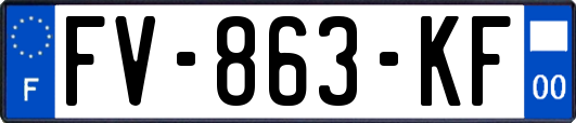 FV-863-KF