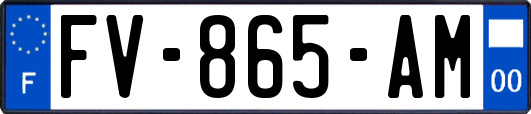 FV-865-AM