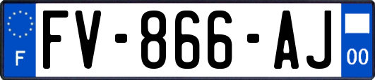 FV-866-AJ