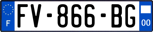 FV-866-BG