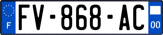 FV-868-AC