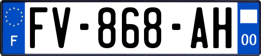 FV-868-AH