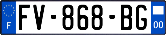FV-868-BG