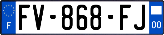 FV-868-FJ