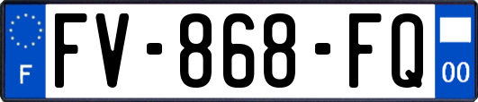 FV-868-FQ