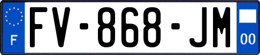 FV-868-JM