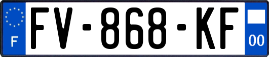 FV-868-KF