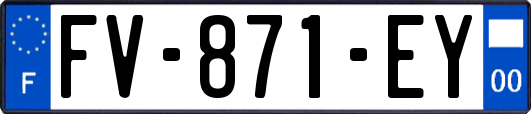 FV-871-EY