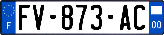 FV-873-AC