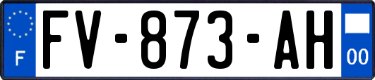 FV-873-AH