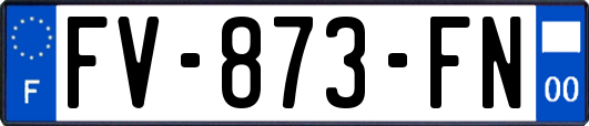 FV-873-FN