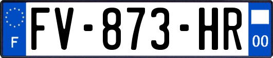 FV-873-HR
