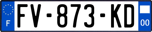 FV-873-KD