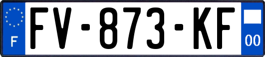 FV-873-KF