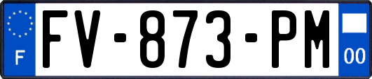 FV-873-PM