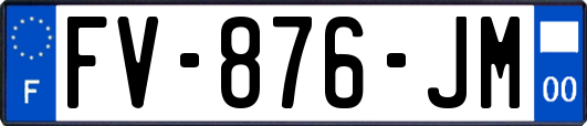 FV-876-JM