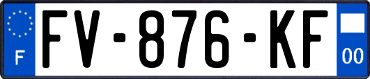FV-876-KF