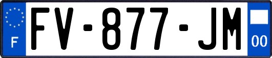 FV-877-JM