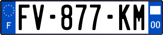FV-877-KM