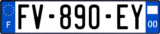 FV-890-EY