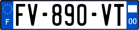 FV-890-VT