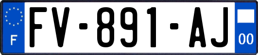 FV-891-AJ