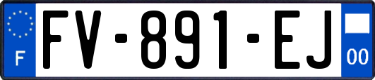 FV-891-EJ