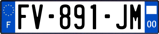 FV-891-JM