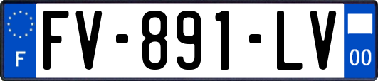 FV-891-LV
