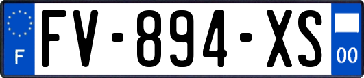 FV-894-XS