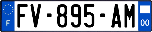 FV-895-AM