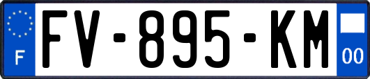 FV-895-KM
