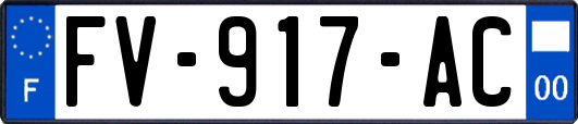 FV-917-AC