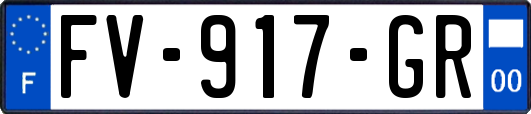 FV-917-GR