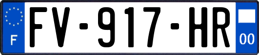 FV-917-HR