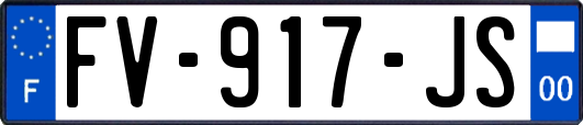 FV-917-JS