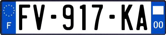 FV-917-KA