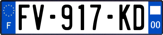FV-917-KD