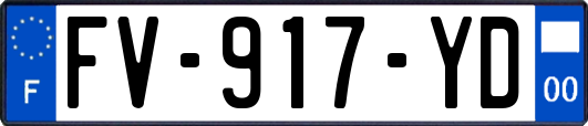 FV-917-YD