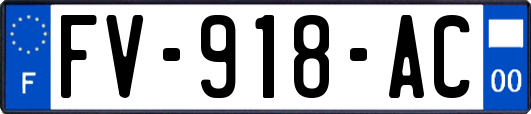 FV-918-AC