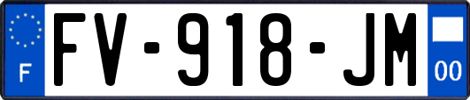 FV-918-JM