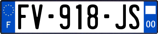 FV-918-JS