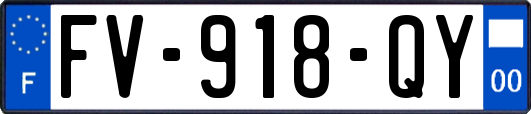 FV-918-QY